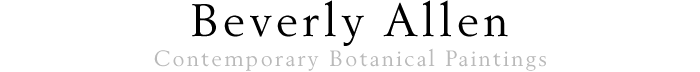 Beverly Allen Contemporary Botanical Paintings logo