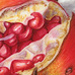 Beverly Allen Punica granatum Pomegranates